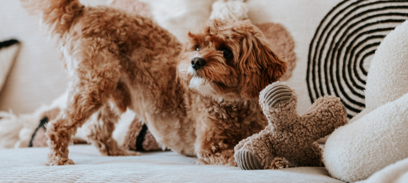 Stijlvol speelplezier met District 70 PLUSH