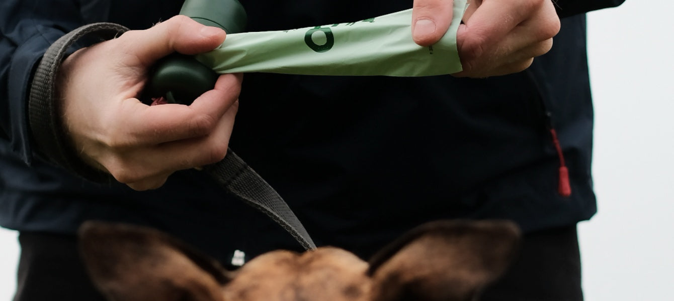 Betrouwbare keuze: 100% Gerecyclede Beco poepzakjes