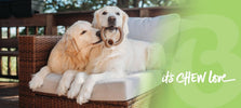 Benebone: voor honden die nooit uitgekauwd raken