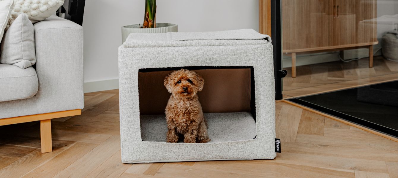 Design hondenbench alternatief: CLOUD soft crate