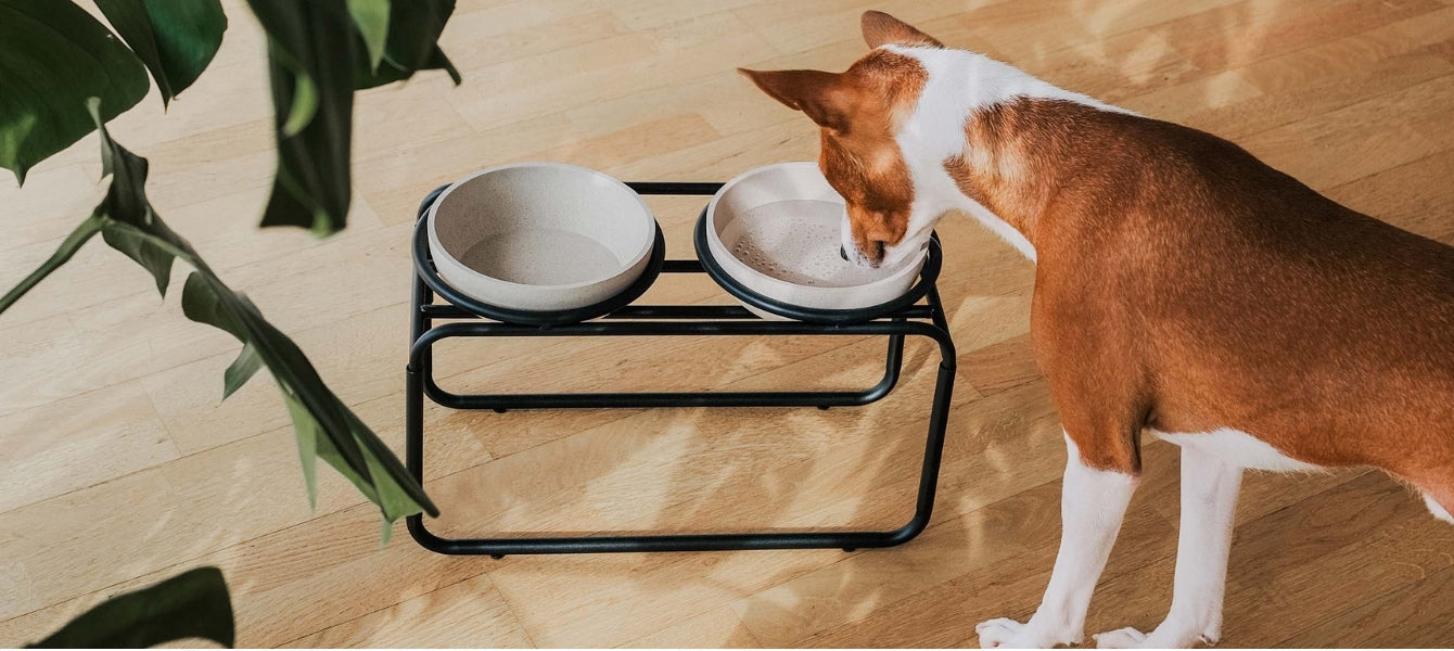 Ontdek het District 70 Dine concept