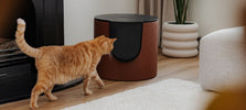 FUSE: modulaire design kattenbak als compleet retailconcept