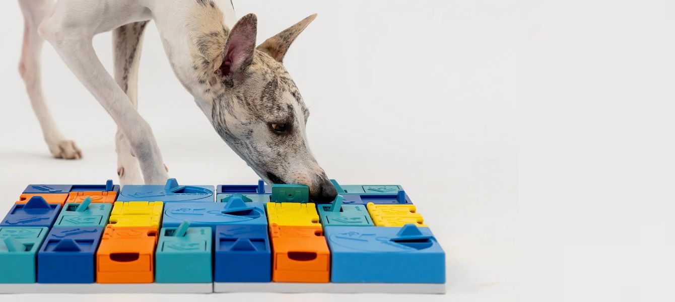Slim spelen: puzzels voor honden en katten