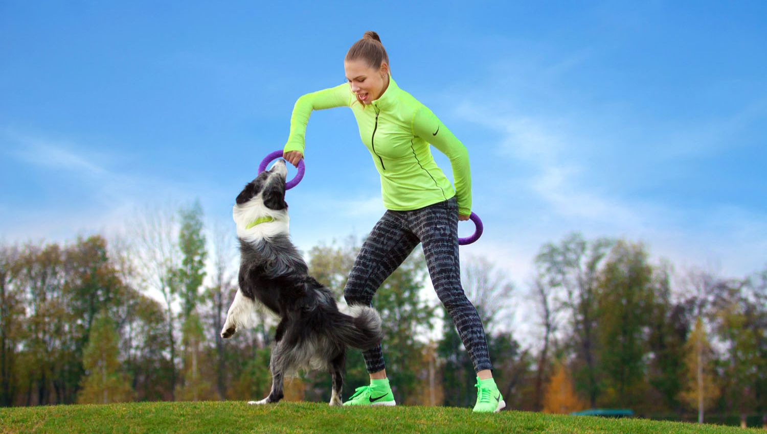 Puller Dog Fitness Tool: Innovatie in Hondenspeelgoed