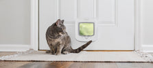 kattenluik Petsafe