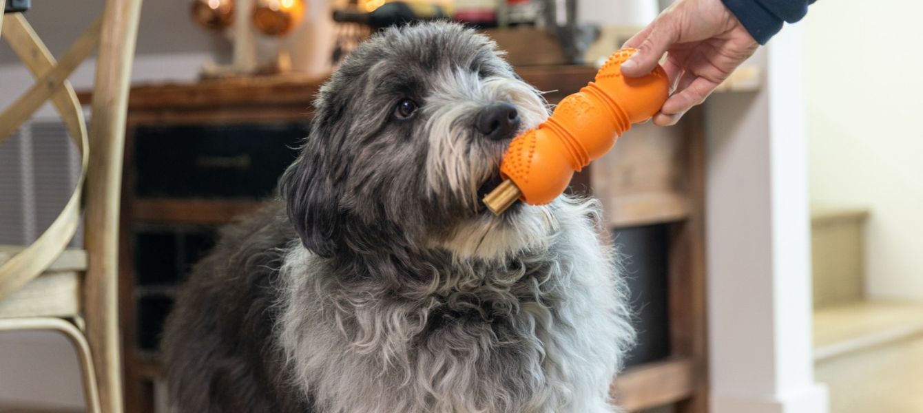 West Paw Flossr™ & Dental Sticks: spelenderwijs gebitsverzorging