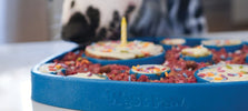 Maak van elke hondenverjaardag een feestdag!