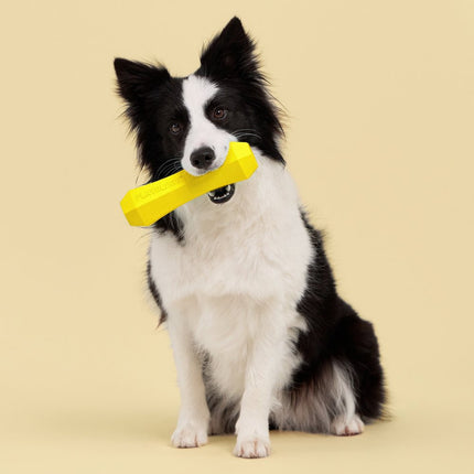 Collection image for: Playology Dog