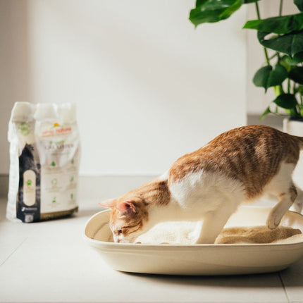 Almo Nature Cat Litter