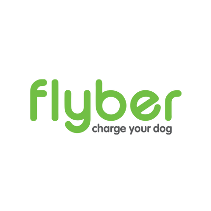 Collection image for: Flyber