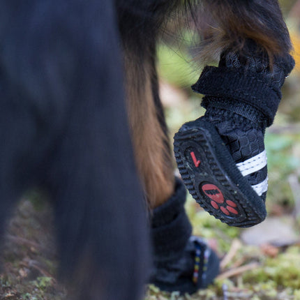Hondenschoenen
