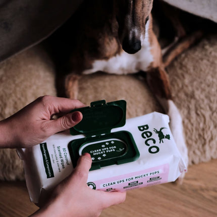 Bamboo Dog Wipes – Kokosnussduft – 80er-Pack