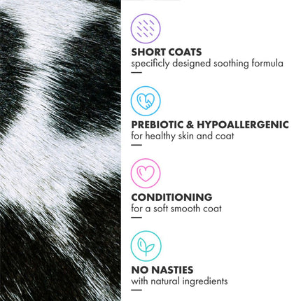 Kurzhaar-Pflegeshampoo