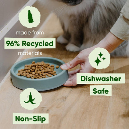 Steady Cat Bowl