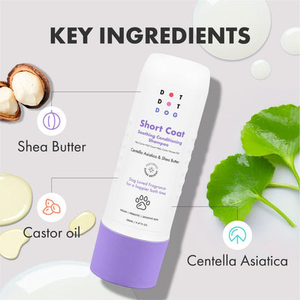 Kurzhaar-Pflegeshampoo