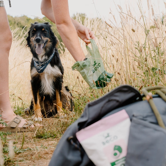 Kotbeutel Recycelt – Unparfümiert - mit Griffen (60 Stück)