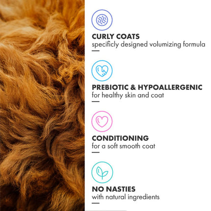 Curly Coat Conditioning Shampoo