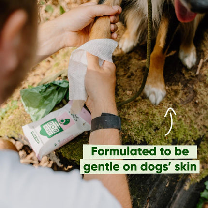 Travel Dog Wipes - Coconut Scented - 6 Stuks