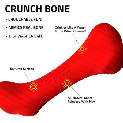 Crunchy Femur - Large