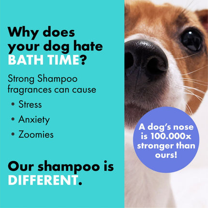 Puppy Coat Conditioning Shampoo