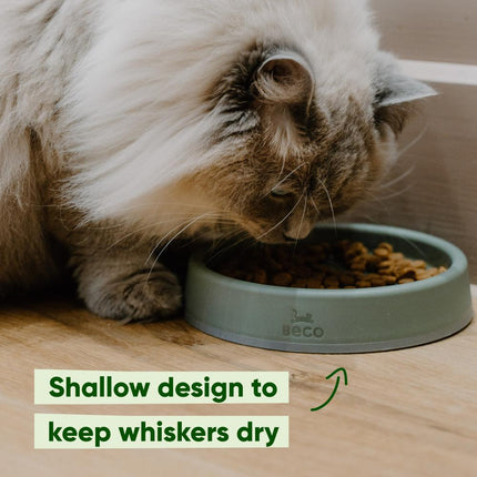 Steady Cat Bowl