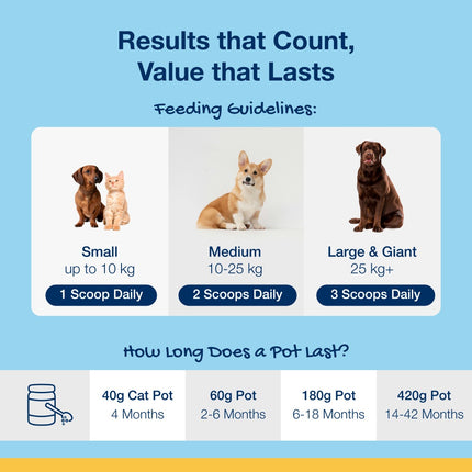 PlaqueOff Pulver für Katzen