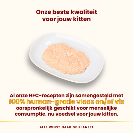 HFC Natvoer Kat - Kitten - Blik - 24 x 70g