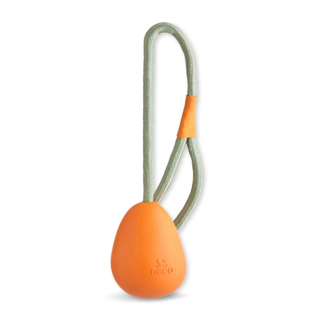 Slinger Pebble