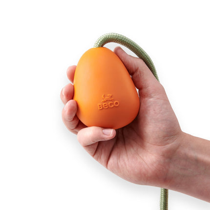 Slinger Pebble