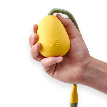Slinger Pebble