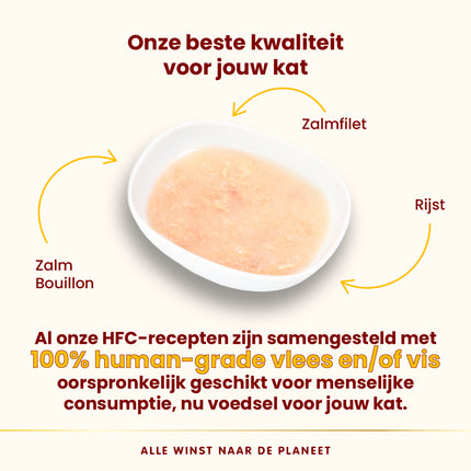 HFC Hydration Help Natvoer Kat - Zakjes - 24 x 50g