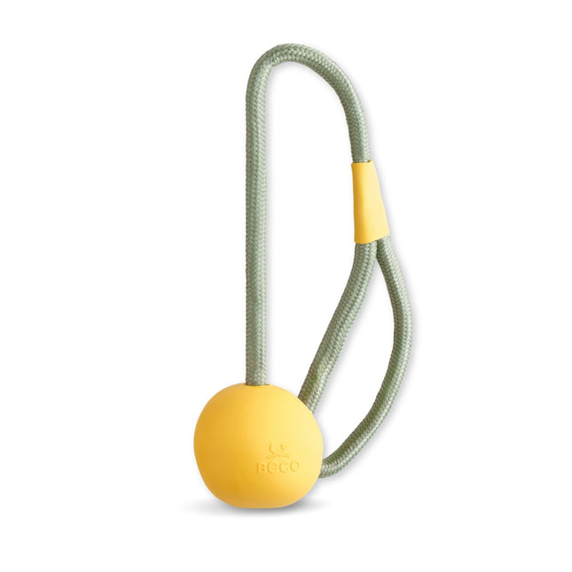 Slinger Ball