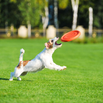 PitchDog Disk