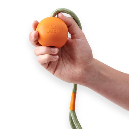 Slinger Ball