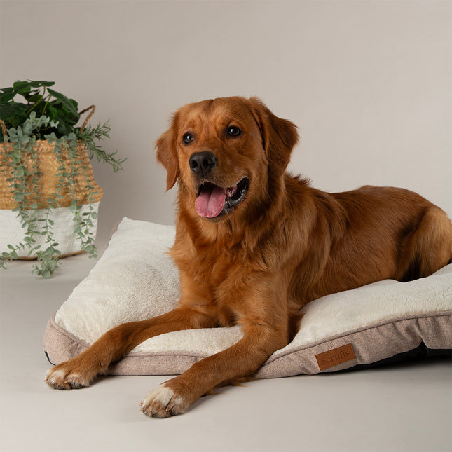 Display Harmony Matratzen-Kombi - 18-teilig