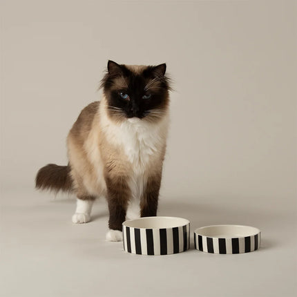 Amalfi Futternapf für Katzen