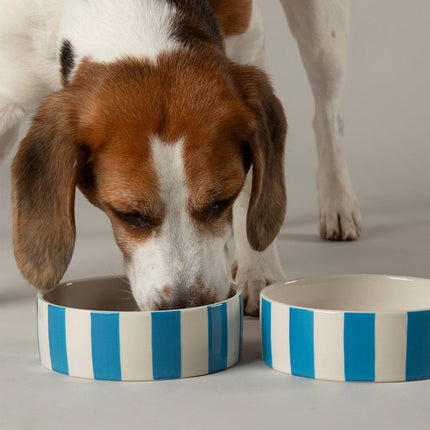 Amalfi voerbak voor honden