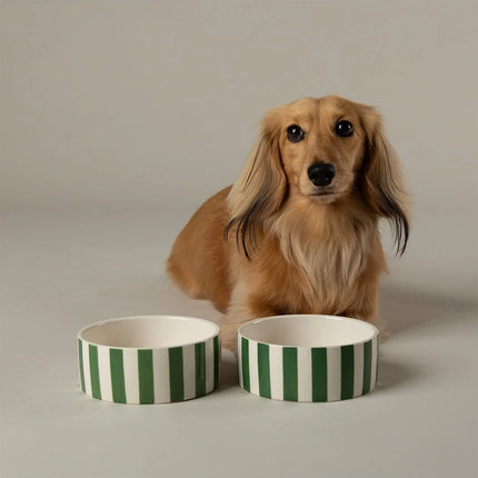 Amalfi voerbak voor honden