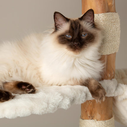 Everest Cat Tree