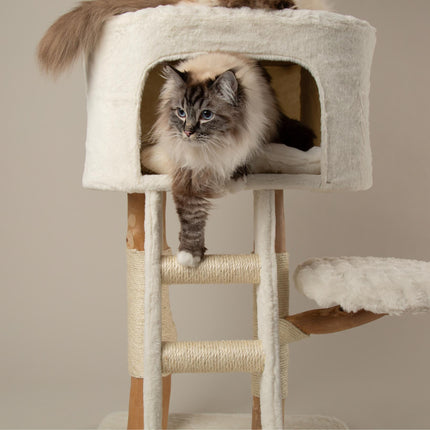 Everest Cat Tree