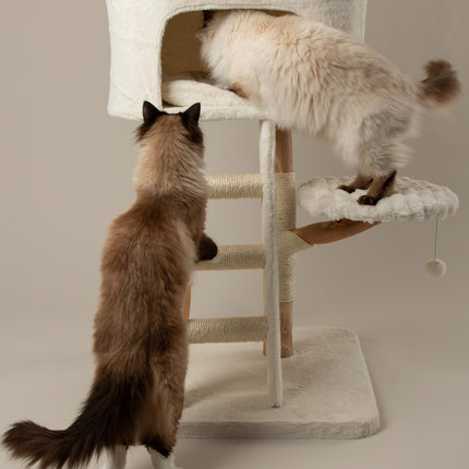 Everest Cat Tree