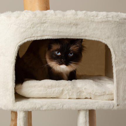 Everest Cat Tree