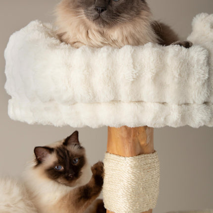 Everest Cat Tree