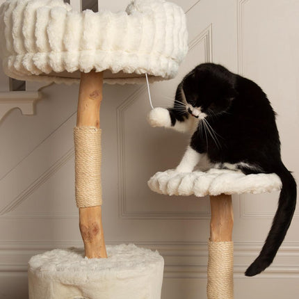 Colorado Cat Tree