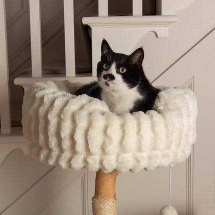 Colorado Cat Tree