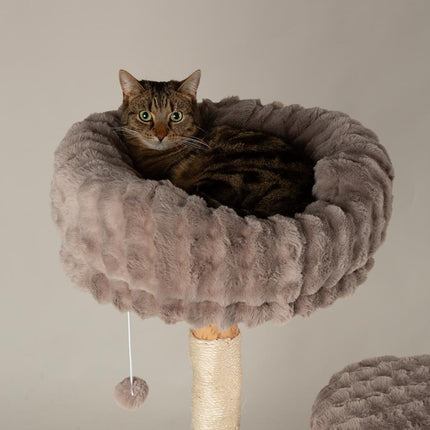 Colorado Cat Tree