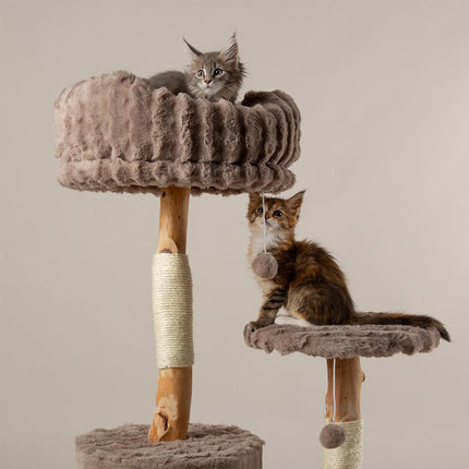Colorado Cat Tree