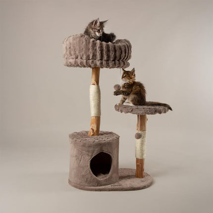 Colorado Cat Tree