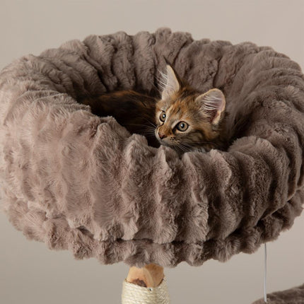 Colorado Cat Tree