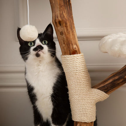 Atlas Cat Tree
